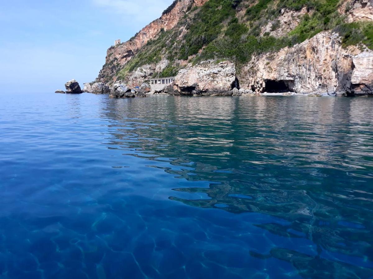 B&B Mediterraneo チェトラーロ エクステリア 写真